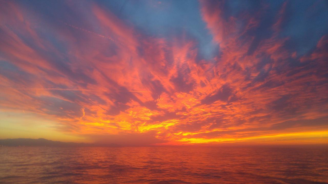 Hotel Ulivi Arenzano Dış mekan fotoğraf